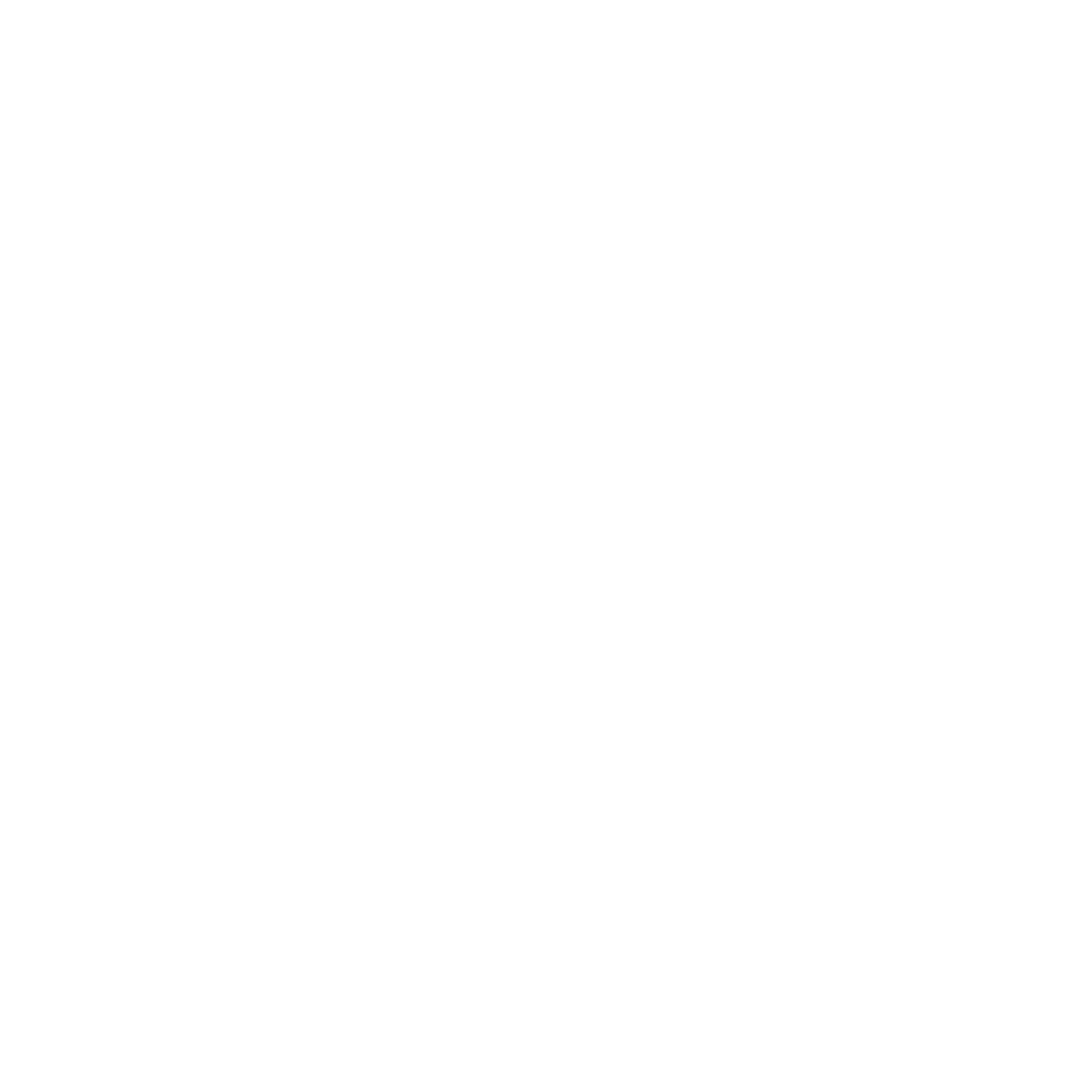 Young Bulls Logo