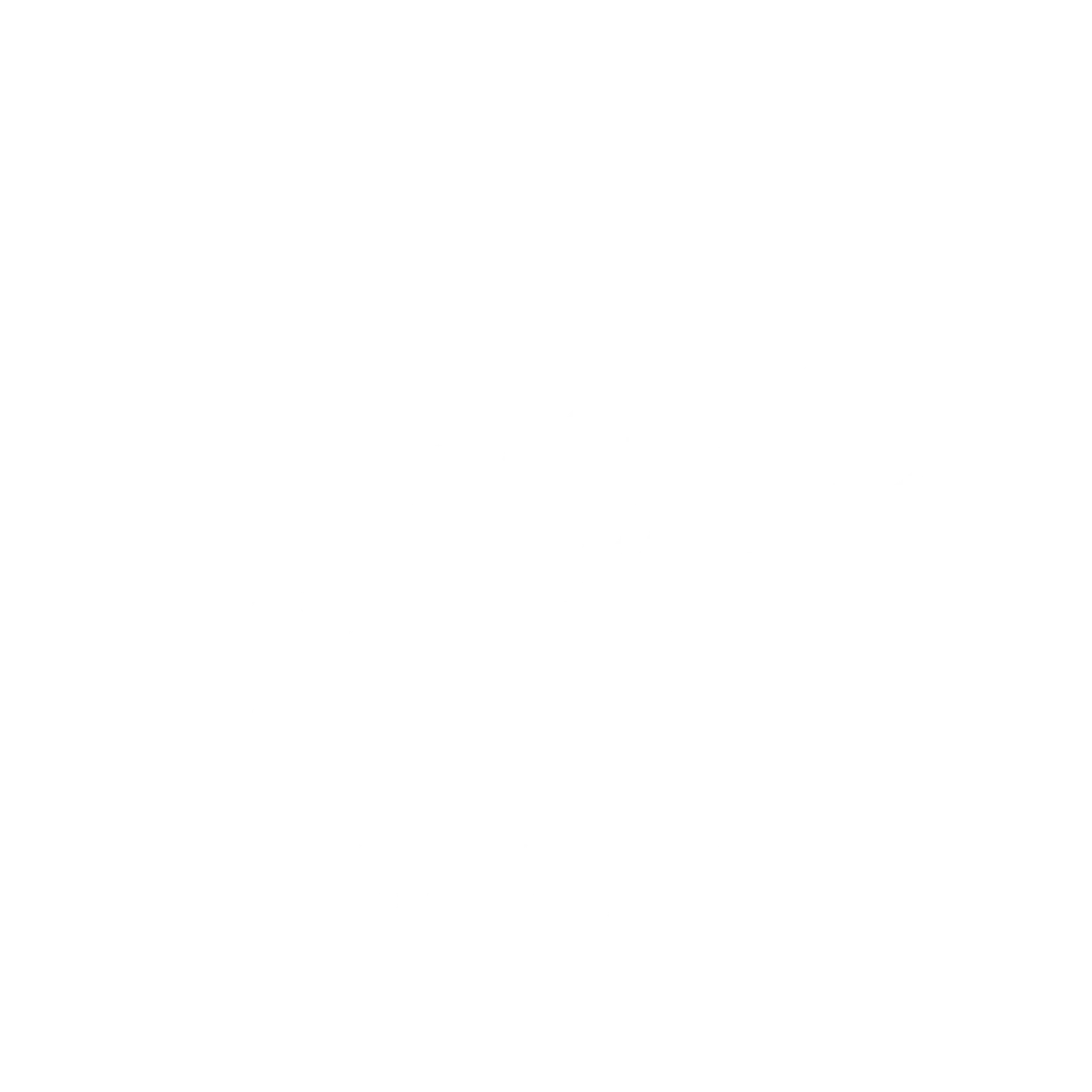 Young Bulls Logo